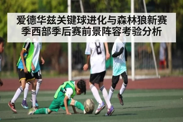 爱德华兹关键球进化与森林狼新赛季西部季后赛前景阵容考验分析